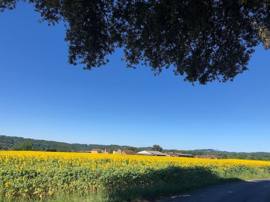 Appartamento Le Bon Chemin Ateliers Sainte-Nathalène Esterno foto